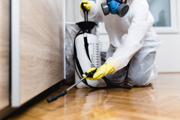 Best Pest Control for Businesses  in Stanford, KY