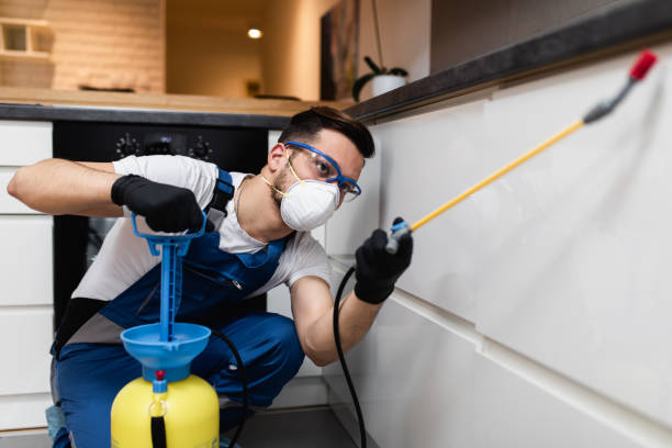 Best Wasp Removal Services  in Stanford, KY