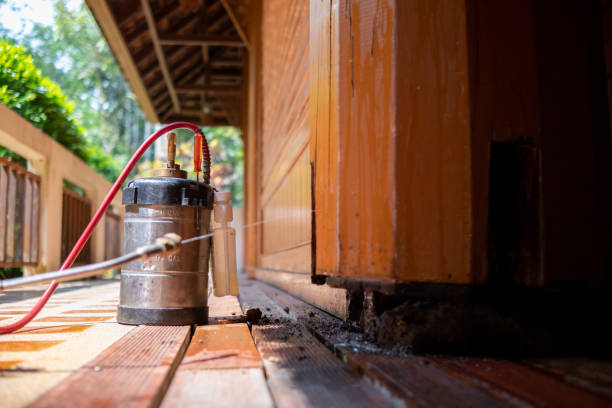 Best Pest Removal Services  in Stanford, KY