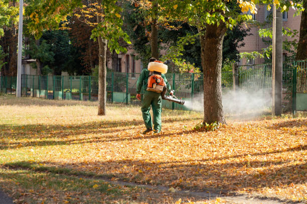 Best Best Pest Control Companies  in Stanford, KY
