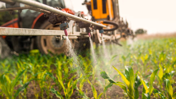Best Mosquito Control Services  in Stanford, KY